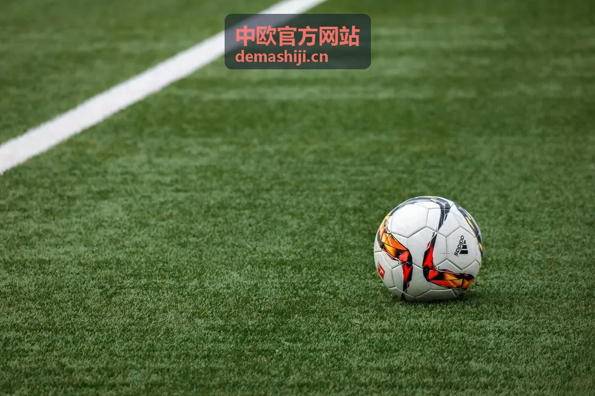中欧地理标志协定资讯配图