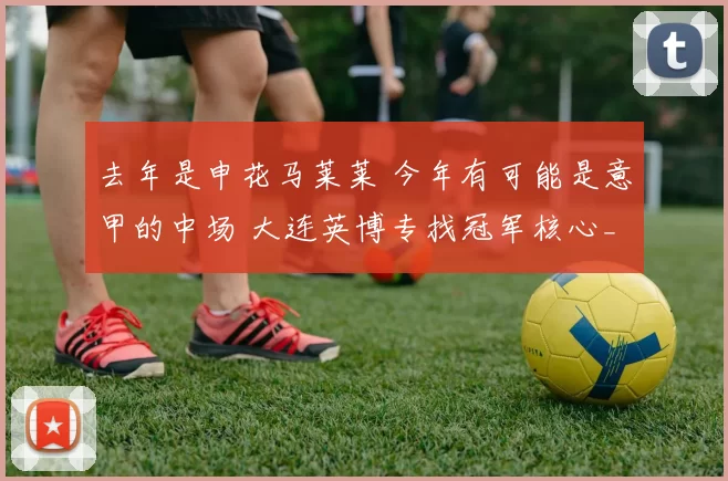 去年是申花马莱莱 今年有可能是意甲的中场 大连英博专找冠军核心_斯坦丘_中超_球员