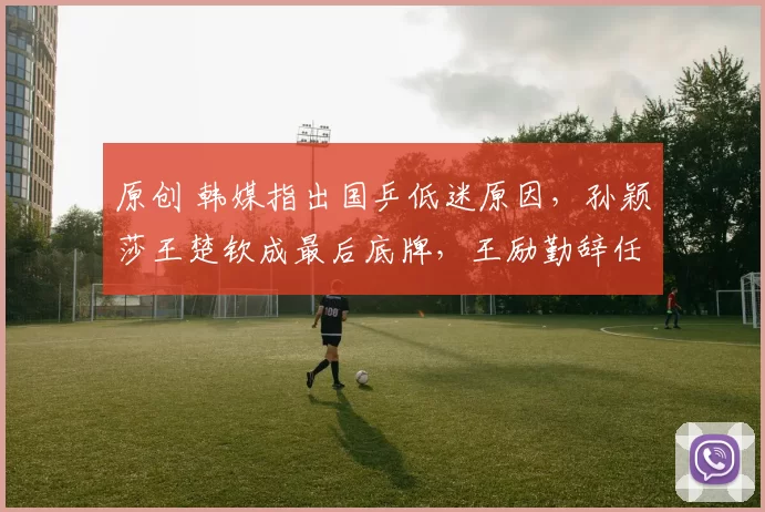 原创 韩媒指出国乒低迷原因，孙颖莎王楚钦成最后底牌，王励勤辞任专注救火！